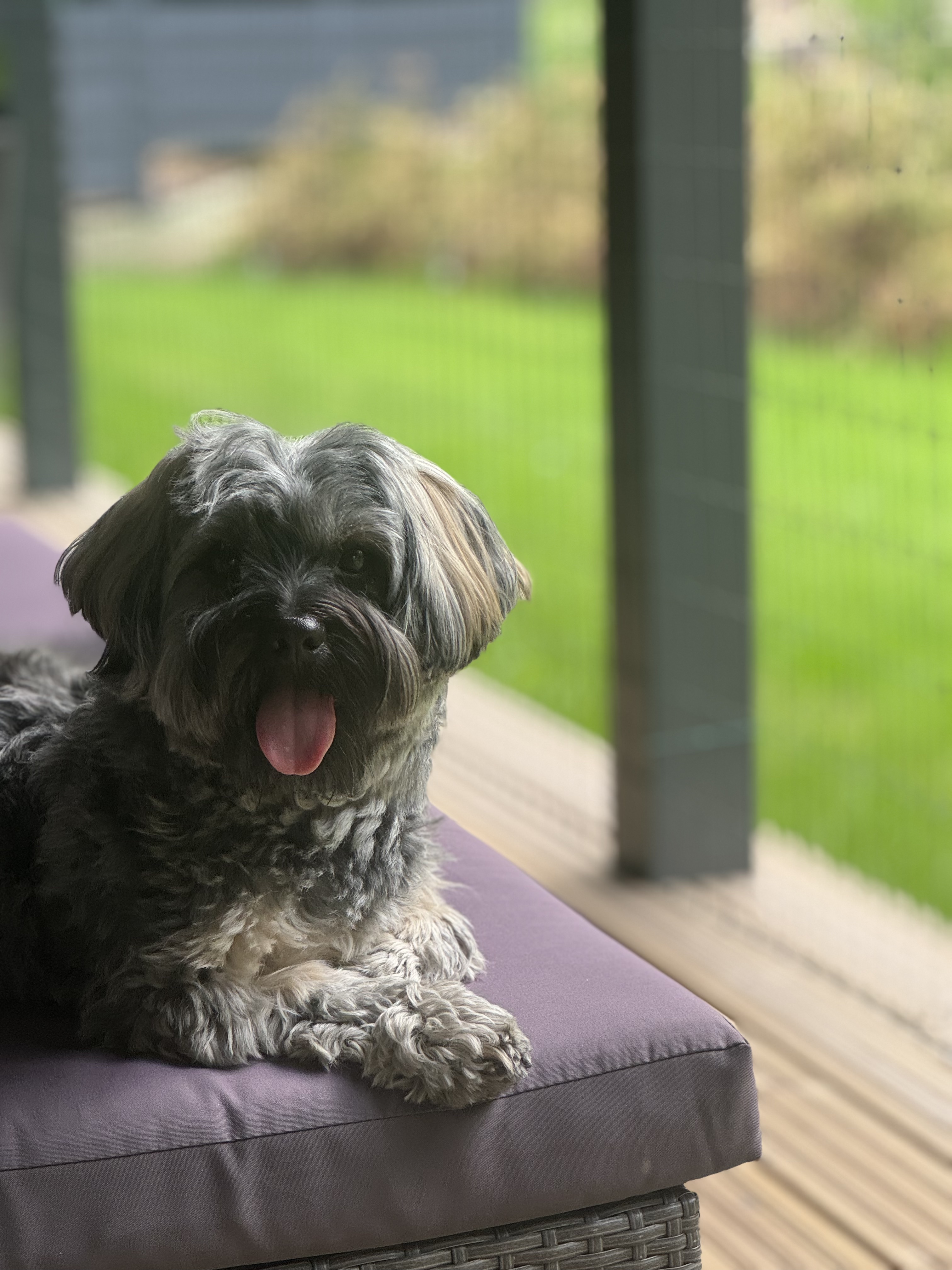 USHQIME TE NDALUARA PER QENTE